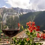 Des Alpes 3* Saint-Rhemy-En-Bosses