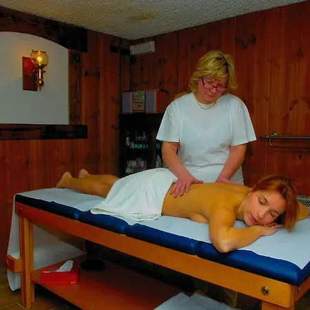 Hotel Des Alpes Saint-Rhemy-En-Bosses
