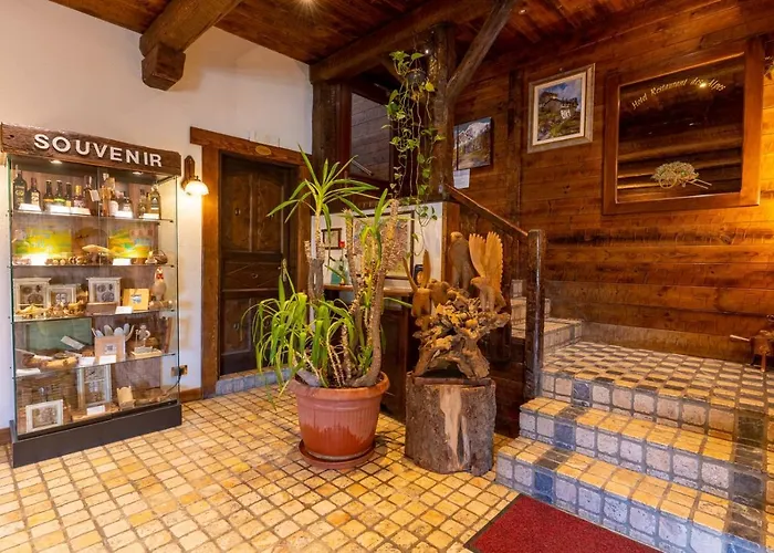 Des Alpes 3* サン・レミ・アン・ボス