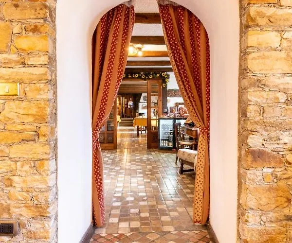 Des Alpes 3* サン・レミ・アン・ボス