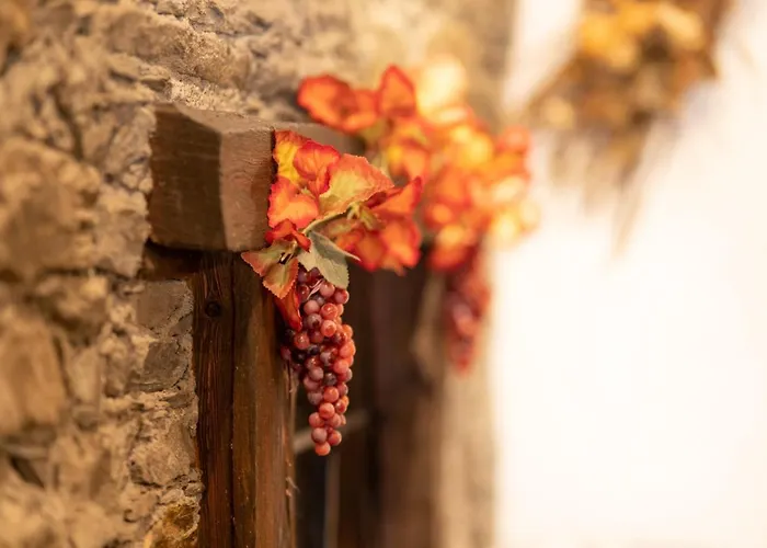 ホテル Des Alpes 3*