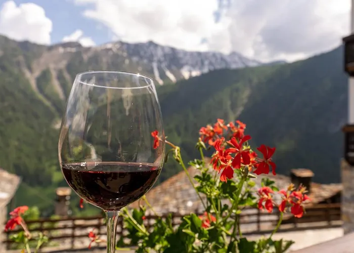 Des Alpes 3* サン・レミ・アン・ボス