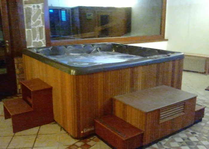 ホテル Des Alpes サン・レミ・アン・ボス