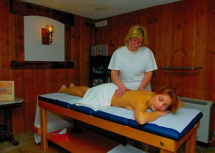 ホテル Des Alpes サン・レミ・アン・ボス